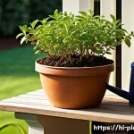 블루베리 나무 실내 재배법 - **Prompt:** A vibrant, healthy dwarf blueberry plant, such as 'Northland' or 'Northblue', thriving i...