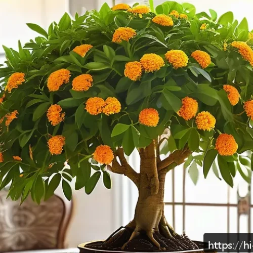 Home 17 금전수 풍수 효과 및 관리법 - A lush, vibrant money tree (Pachira aquatica) placed near the main entrance of a traditional Indian ...