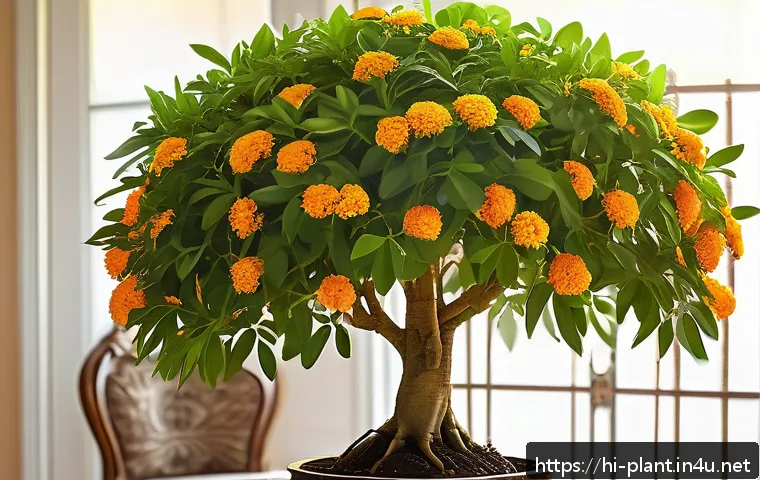 금전수 풍수 효과 및 관리법 - A lush, vibrant money tree (Pachira aquatica) placed near the main entrance of a traditional Indian ...